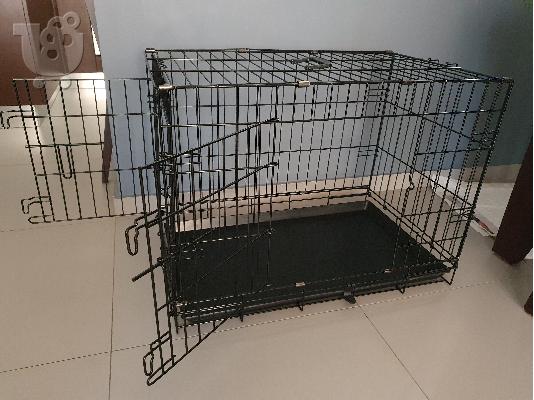 POODLE CANICHE MINI APRICOT (ΚΑΝΙΣ)