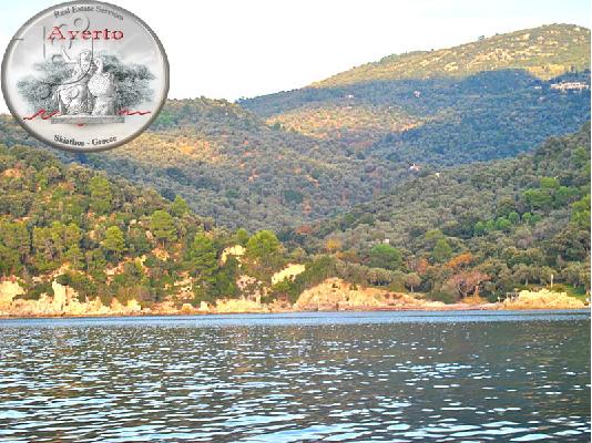 ΠΑΡΑΘΑΛΑΣΣΙΟ ΑΓΡΟΤΕΜΑΧΙΟ 30ΣΤΡΕΜΜΑΤΩΝ - ΕΠΕΝΔΥΤΙΚΟ ΑΚΙΝΗΤΟ...