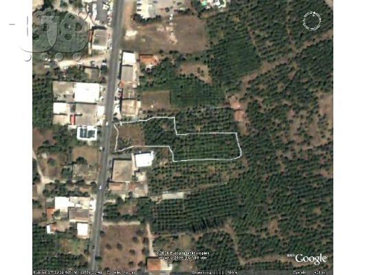 PoulaTo: πωλείται οικόπεδο