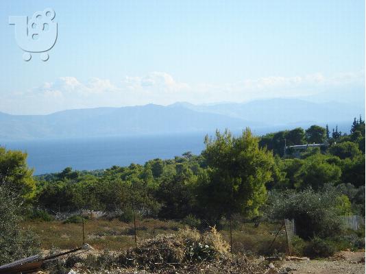 ΟΙΚΟΠΕΔΟ NEA ΜΑΚΡΗ ΑΓΙΑ ΜΑΡΙΝΑ