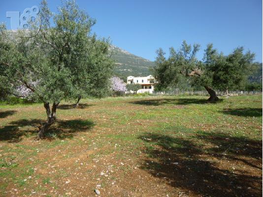 πουλαω οικοπεδο στην Ερατεινη