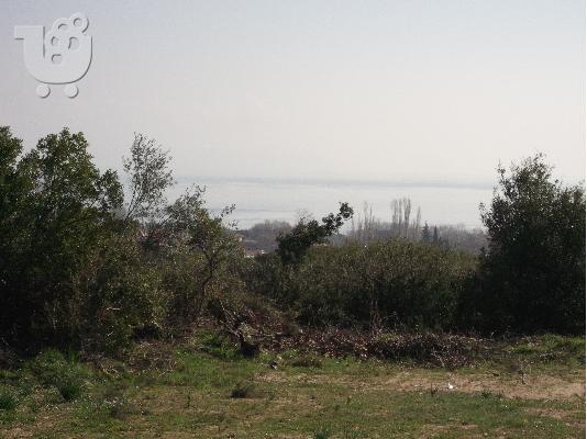 Αγροτεμάχιο ευκαρία!!!!!!!!!!!