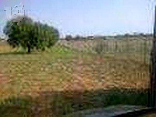 ΠΩΛΕΙΤΑΙ ΟΙΚΟΠΕΔΟ ΣΤΗΝ ΑΘΥΤΟ ΧΑΛΚΙΔΙΚΗΣ