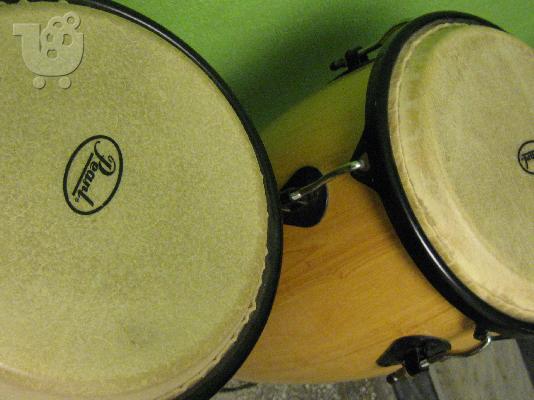 congas pearl primero series