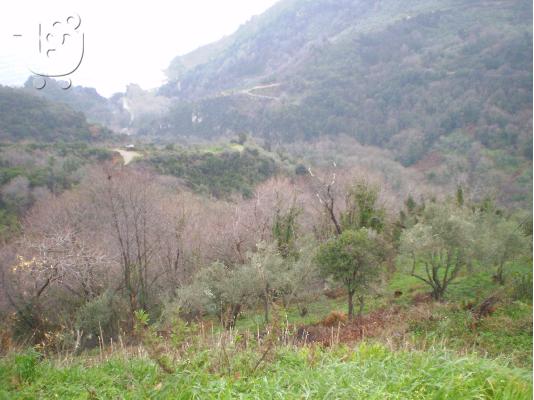 ΠΩΛΕΙΤΑΙ Αγροτεμαχιο 3700 τμ