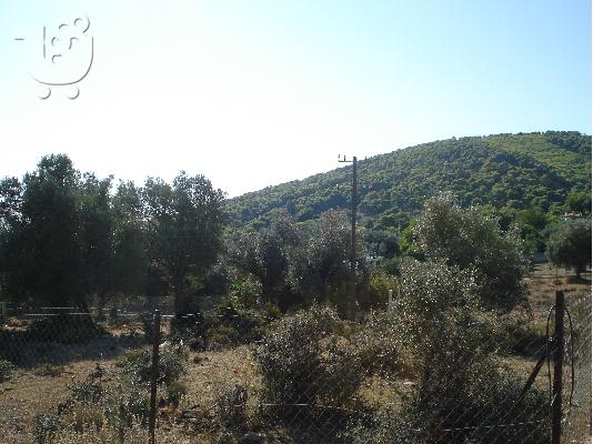 ΟΙΚΟΠΕΔΟ NEA ΜΑΚΡΗ ΑΓΙΑ ΜΑΡΙΝΑ