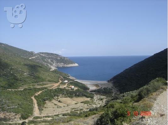 PoulaTo: ΒΑΡΕΛΑΙΟΙ ΕΥΟΙΑΣ