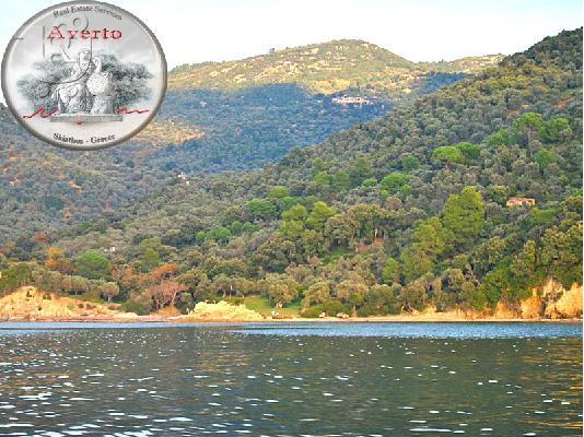 ΠΑΡΑΘΑΛΑΣΣΙΟ ΑΓΡΟΤΕΜΑΧΙΟ 30ΣΤΡΕΜΜΑΤΩΝ - ΕΠΕΝΔΥΤΙΚΟ ΑΚΙΝΗΤΟ...
