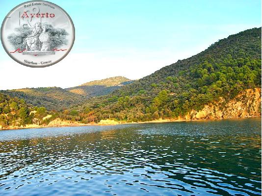 ΠΑΡΑΘΑΛΑΣΣΙΟ ΑΓΡΟΤΕΜΑΧΙΟ 30ΣΤΡΕΜΜΑΤΩΝ - ΕΠΕΝΔΥΤΙΚΟ ΑΚΙΝΗΤΟ...