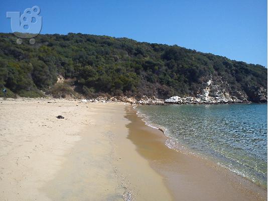 PoulaTo: Κτήμα 20 στρεμμάτων πωλείται