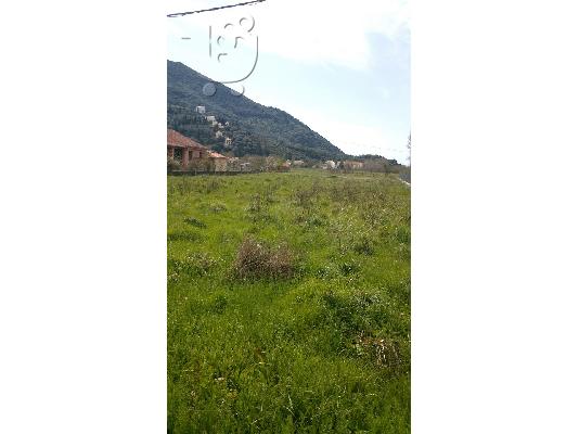 Οικοπεδο στη Κερκυρα