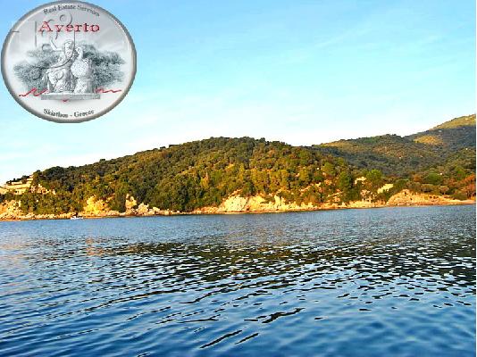 PoulaTo: ΠΑΡΑΘΑΛΑΣΣΙΟ ΑΓΡΟΤΕΜΑΧΙΟ 30ΣΤΡΕΜΜΑΤΩΝ - ΕΠΕΝΔΥΤΙΚΟ ΑΚΙΝΗΤΟ