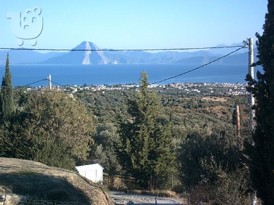 Μονοκατοικία 119τ.μ.