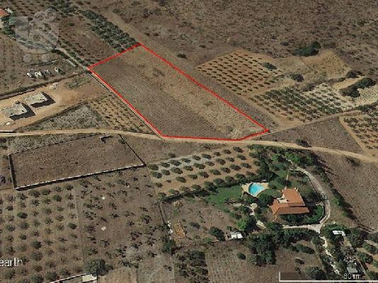 PoulaTo: Αγροτεμάχιο στην περιοχή Μαλέξι Μαρκοπούλου Μεσογαίας 9.000 μ2