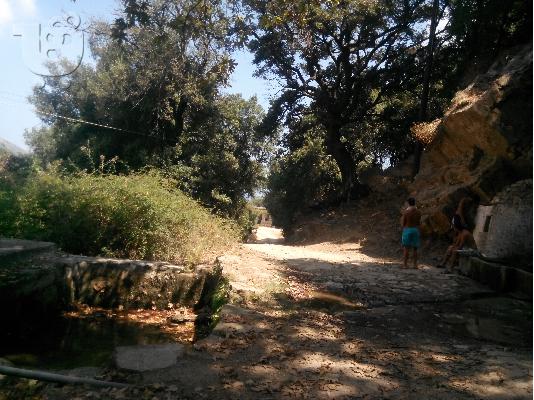 ΒΑΡΕΛΑΙΟΙ ΕΥΟΙΑΣ