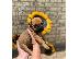 PoulaTo: Bull Mastif Puppies