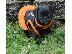PoulaTo: Pug Puppies Available