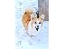 PoulaTo: Pembroke Welsh Corgi