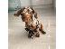 PoulaTo: Dachshund Pup