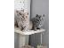 PoulaTo: british shorthair kittens for adoption