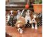 PoulaTo: Ποιοτικά κουτάβια Cavalier king