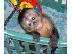 PoulaTo: μαϊμού καπουτσίνα μωρού 299€