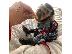 PoulaTo: Καταπληκτικοί πίθηκοι καπουτσίνων