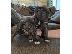 PoulaTo: Κουτάβια Staffordshire Bull Terrier για σπίτι.